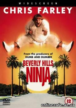 Ниндзя из беверли хиллз / BEVERLY HILLS NINJA (1997)