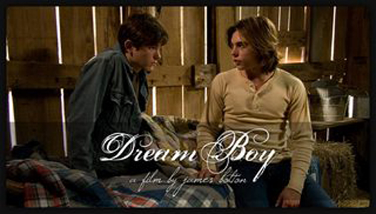 Мальчик Мечты / Парень мечты / Dream Boy (2008)