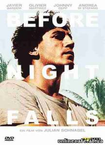 Пока не наступит ночь / Before Night Falls (2000)