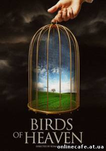 Райские птицы (2008)