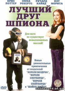 Лучший Друг Шпиона / Spymate (2004)